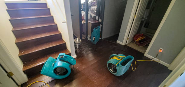 Best Water damage restoration services  in Rib Mountain, WI