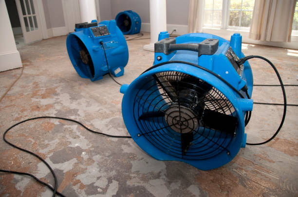 Professional Water damage restoration in Rib Mountain, WI