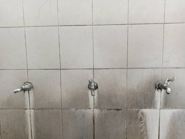 Best Flood restoration services  in Rib Mountain, WI